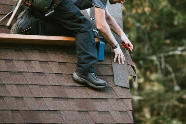 Professional Roofing Contractor in Dagsboro, DE